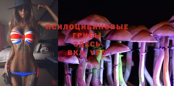 гашик Волоколамск